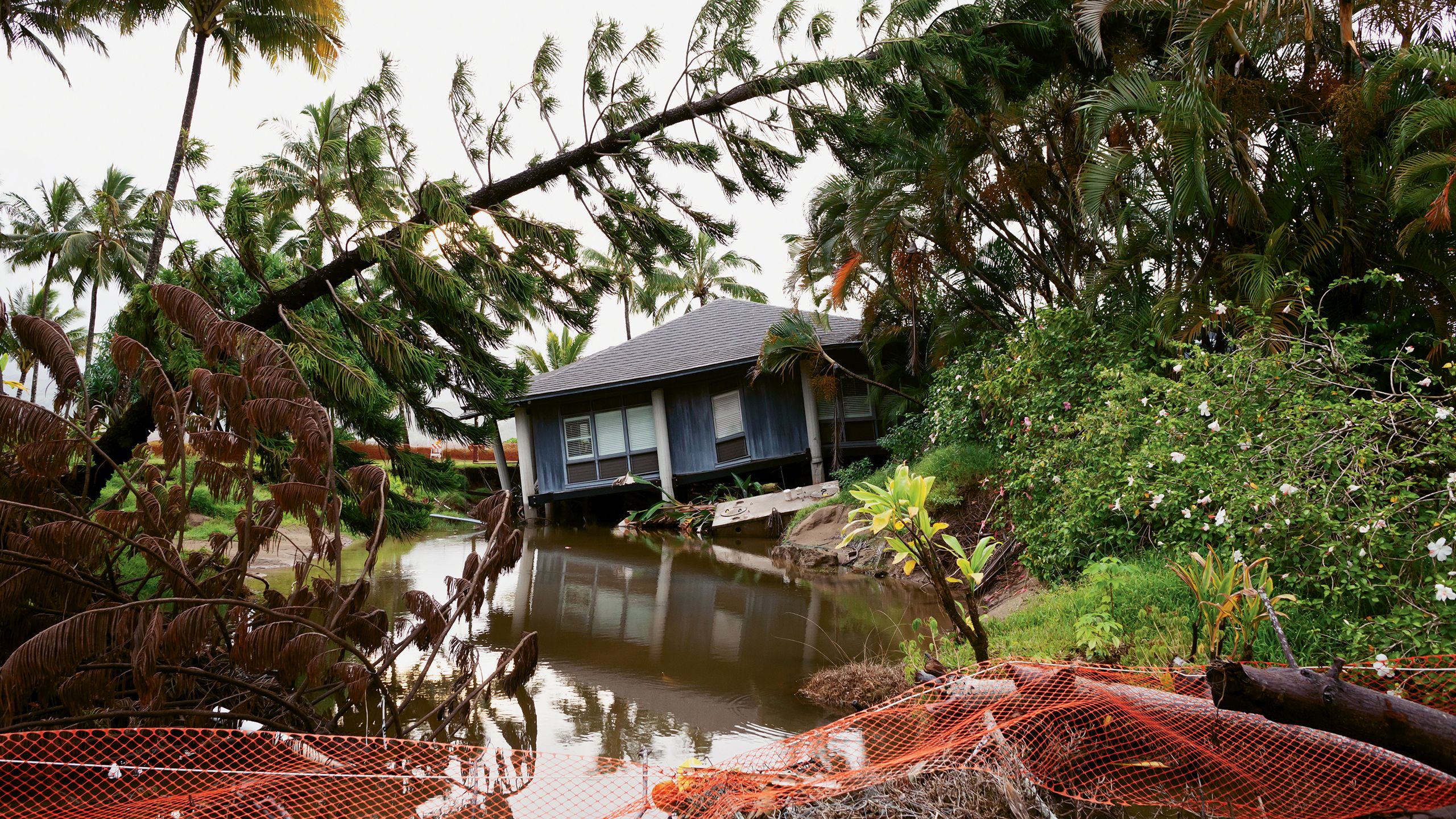 A flood-damaged house in Hanalei. The disaster gave locals the chance to address overcrowding. Photo by Mayakova/Shutterstock.com